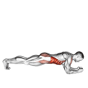 旋转前平板支撑标准动作动图演示