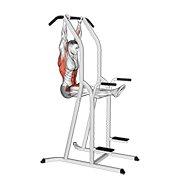 单臂引体向上标准动作动图演示